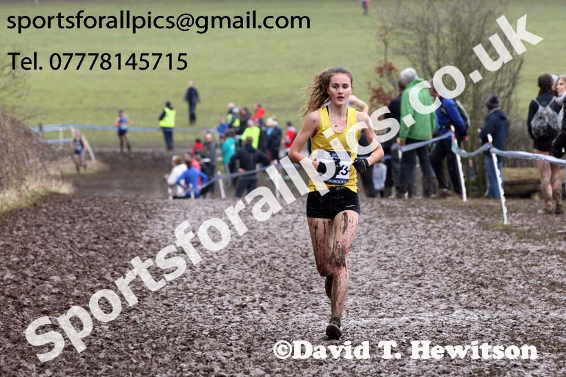 Womens under-20s 2018 British Inter Counties Cross Country Champs., Prestwold Hall, Loughborough. Photo: David T. Hewitson/Sports for All Pics